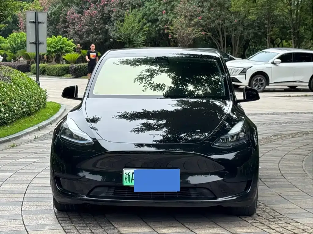 Tesla Model Y — фото 1