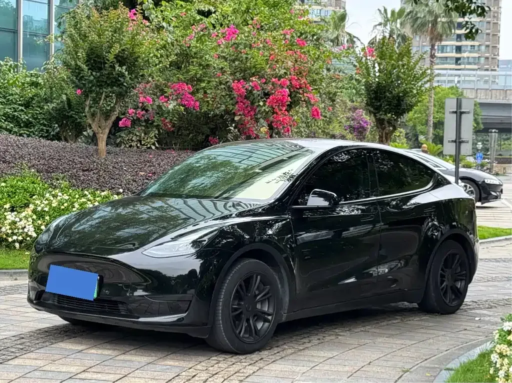 Tesla Model Y — фото 7