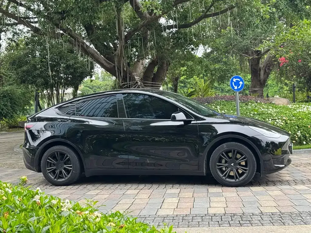 Tesla Model Y — фото 9