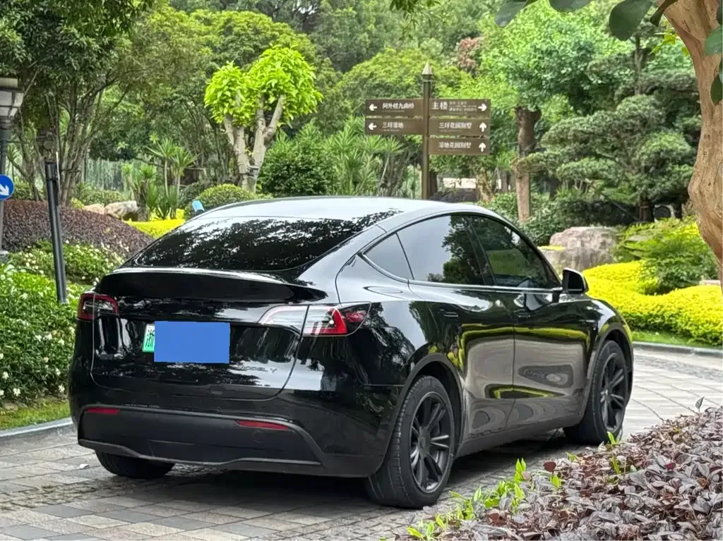 Tesla Model Y — фото 6