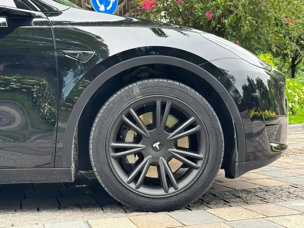 Tesla Model Y — фото 10