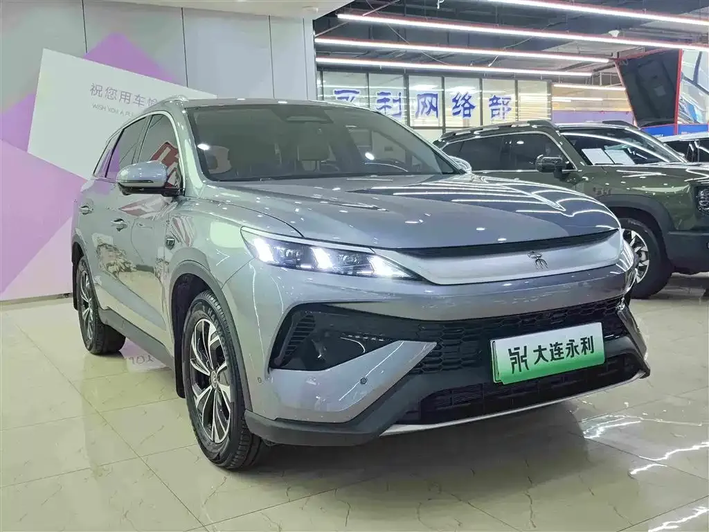 BYD Pro New Energy — фото 8