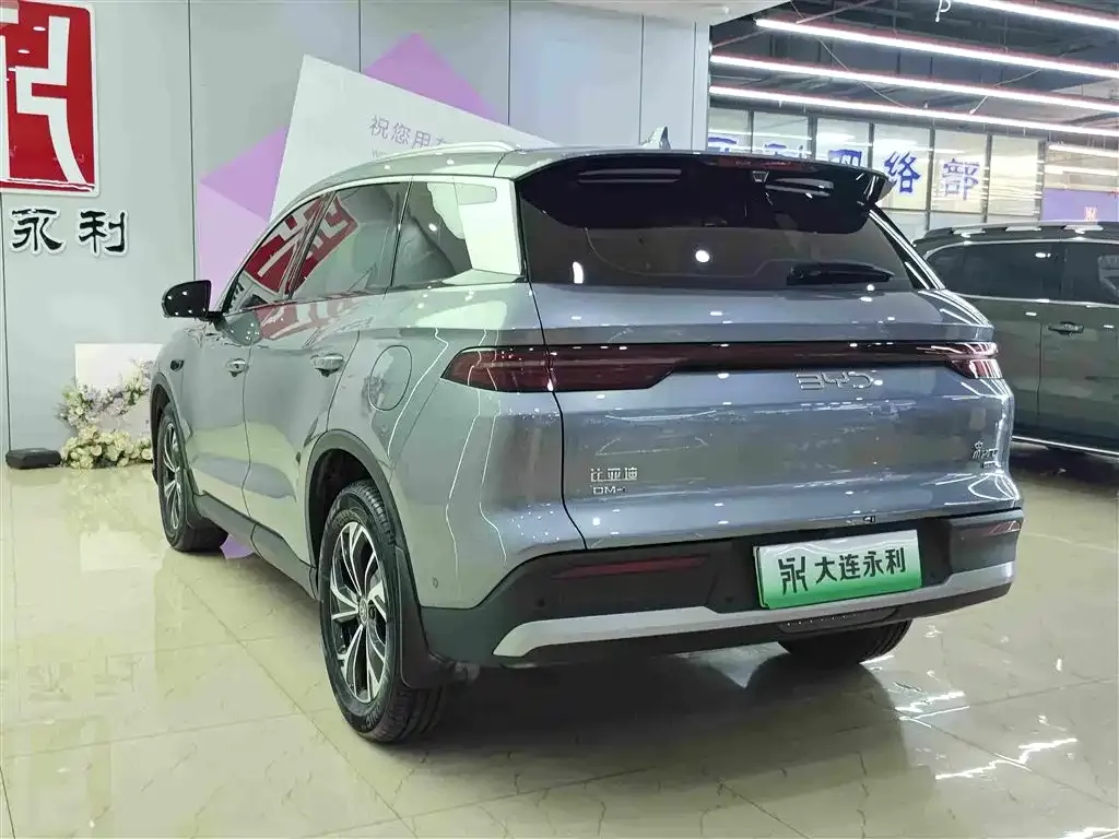 BYD Pro New Energy — фото 4
