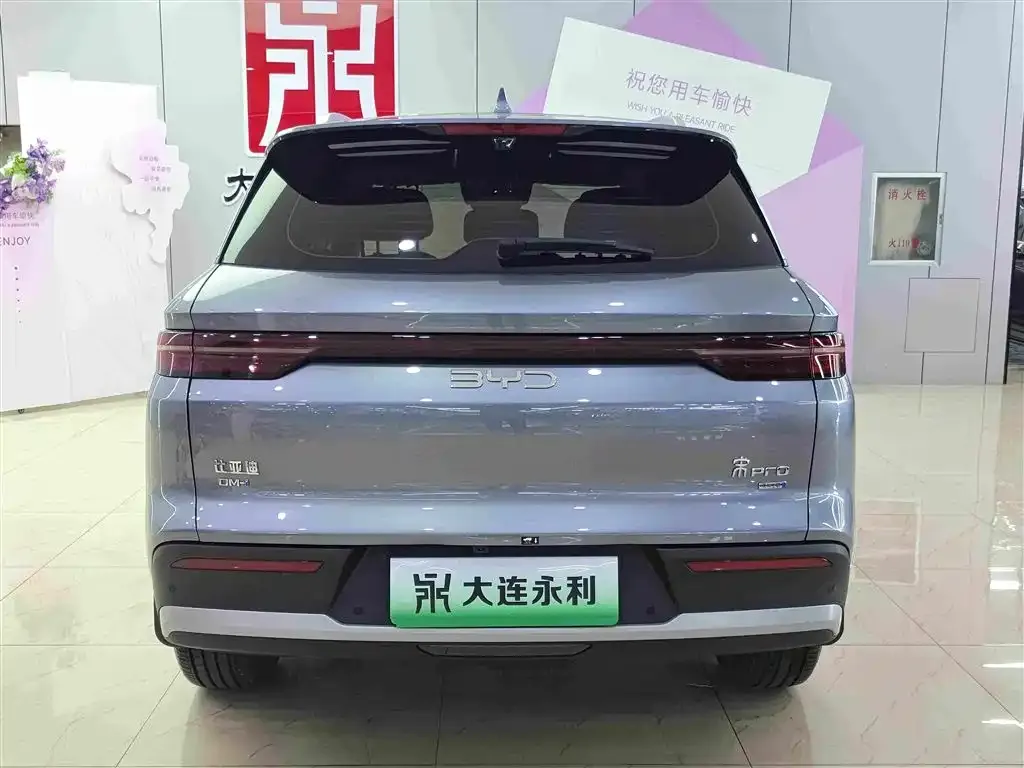 BYD Pro New Energy — фото 7