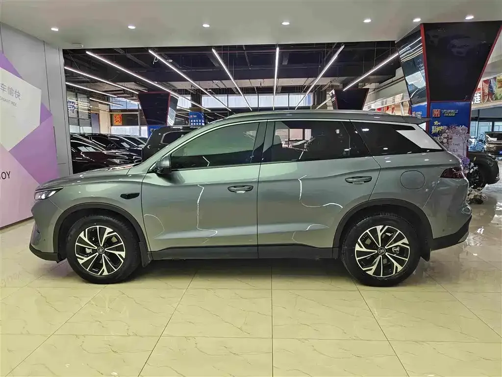 BYD Pro New Energy — фото 5