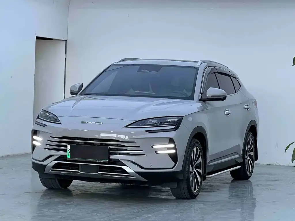 BYD PLUS New Energy — фото 1