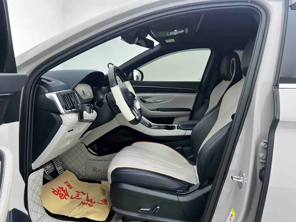 BYD PLUS New Energy — фото 10