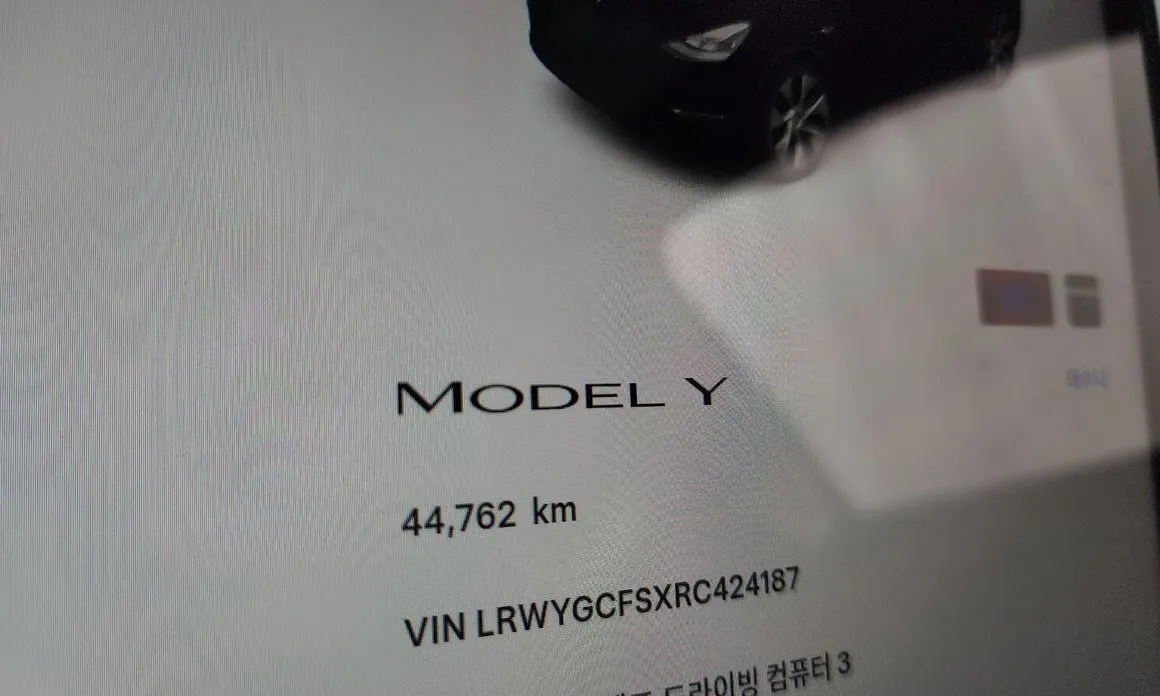 Tesla Model Y — фото 4