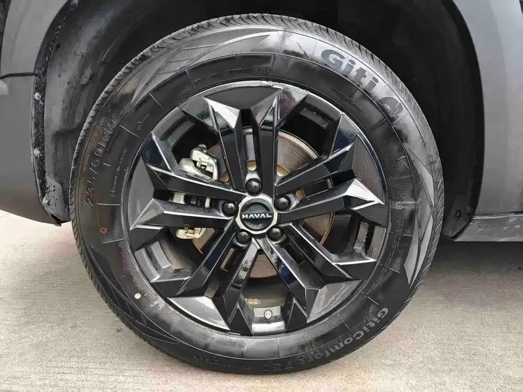 Haval Big Dog 2024 из CN, фото 9