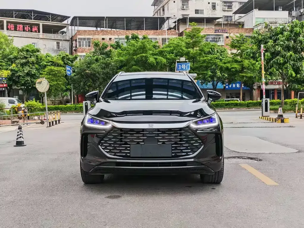 BYD Tang New Energy 2024 из CN, фото 9