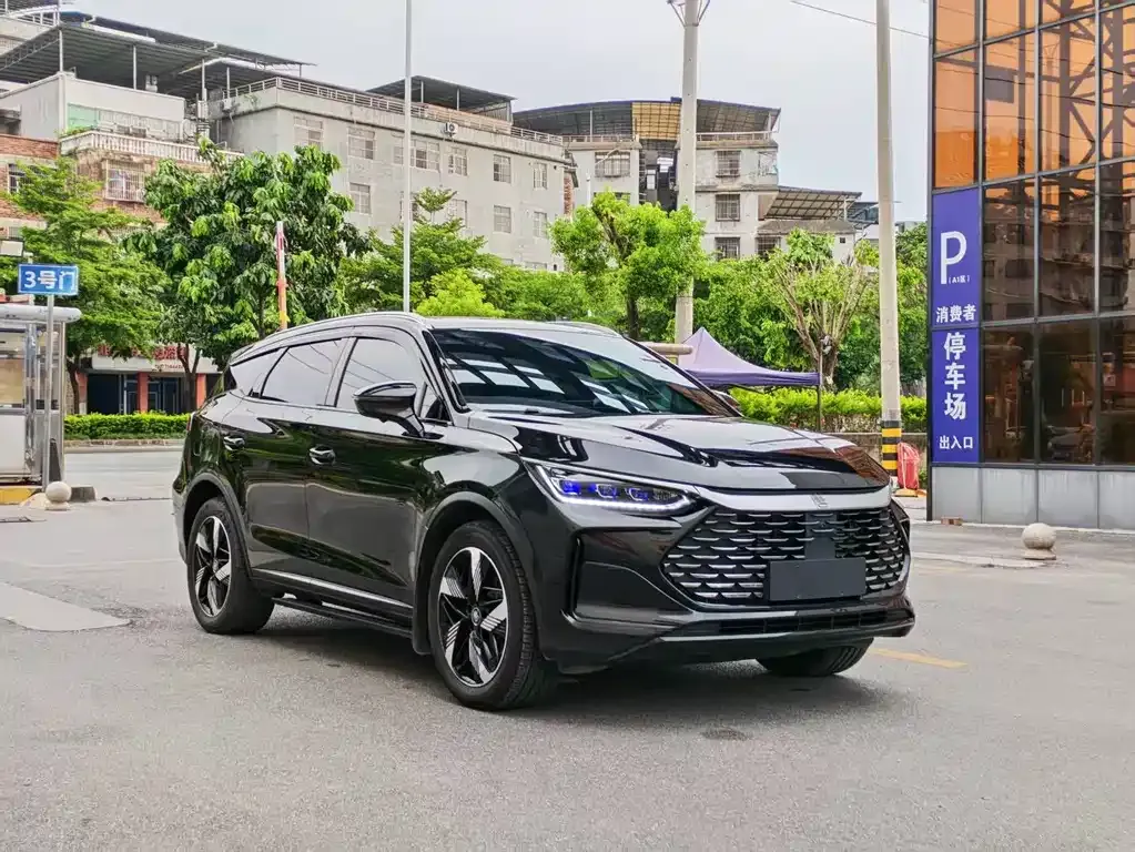 BYD Tang New Energy 2024 из CN, фото 6