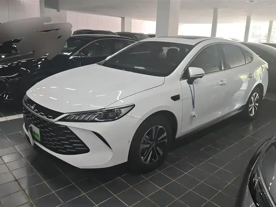 BYD Qin PLUS — фото 1