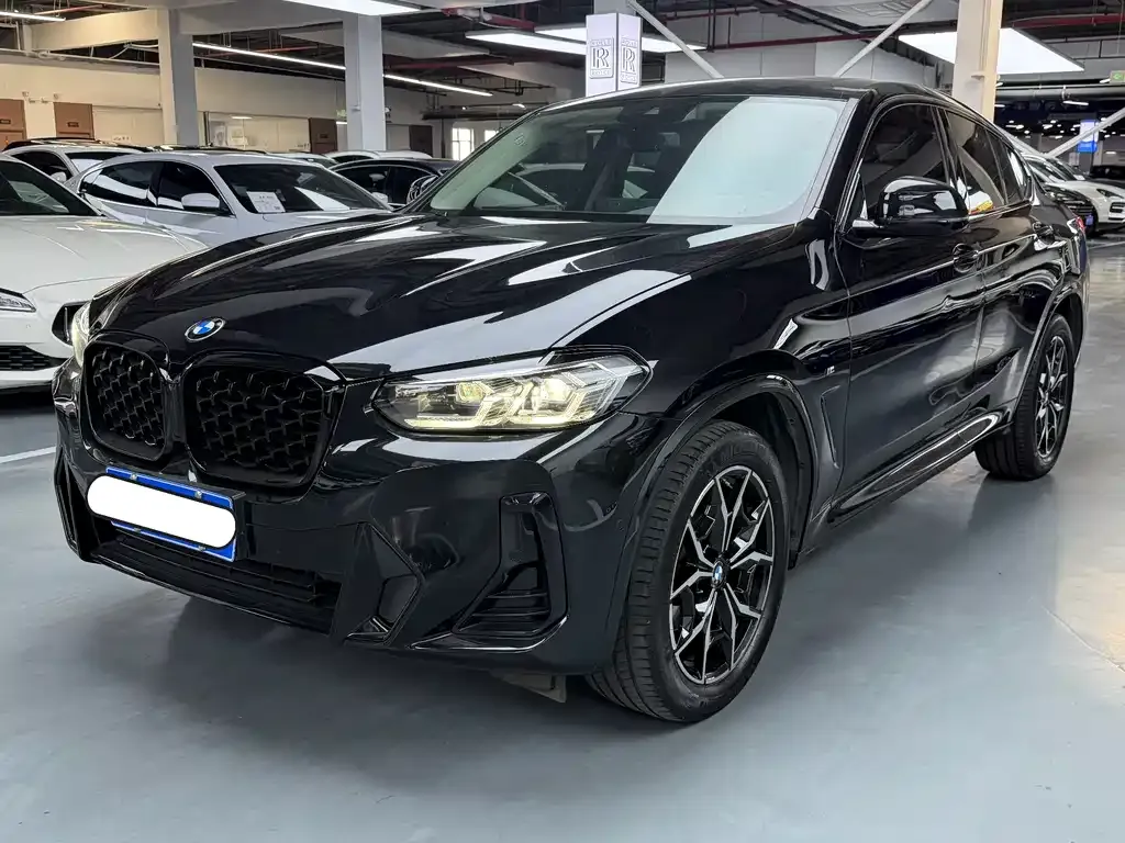 BMW X4 — фото 1