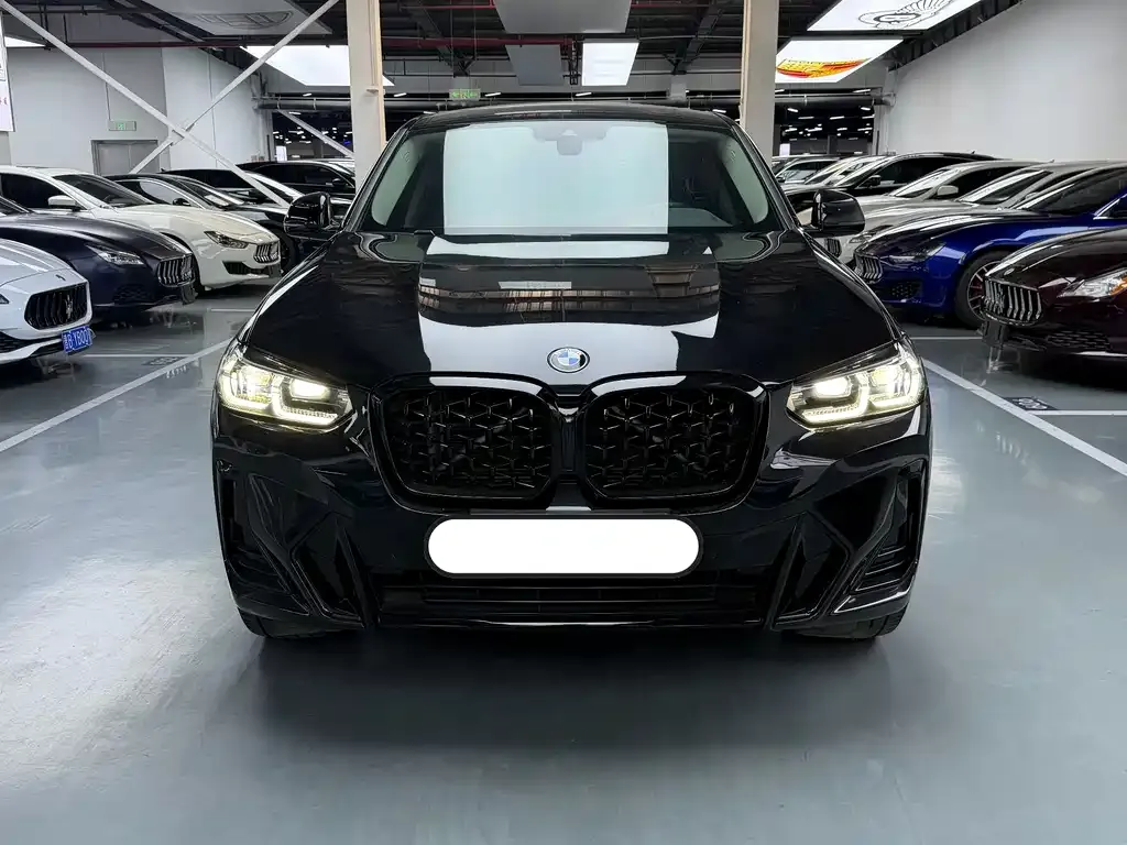BMW X4 — фото 9