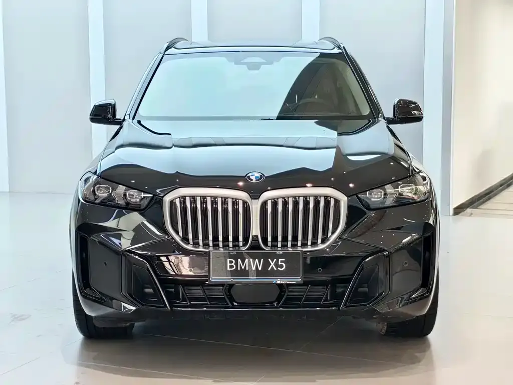 BMW X5 — фото 2