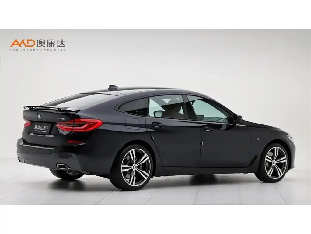 BMW 6 Series GT 2024 из CN, фото 5
