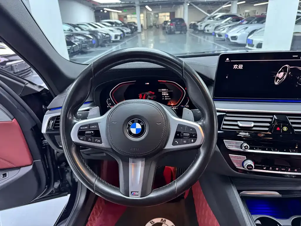 BMW 5 Series 2022 из CN, фото 8