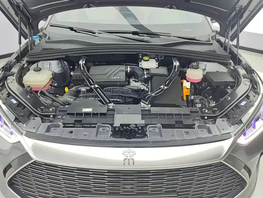 BYD PLUS New Energy — фото 4