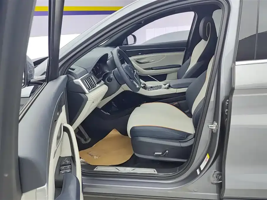 BYD PLUS New Energy — фото 10