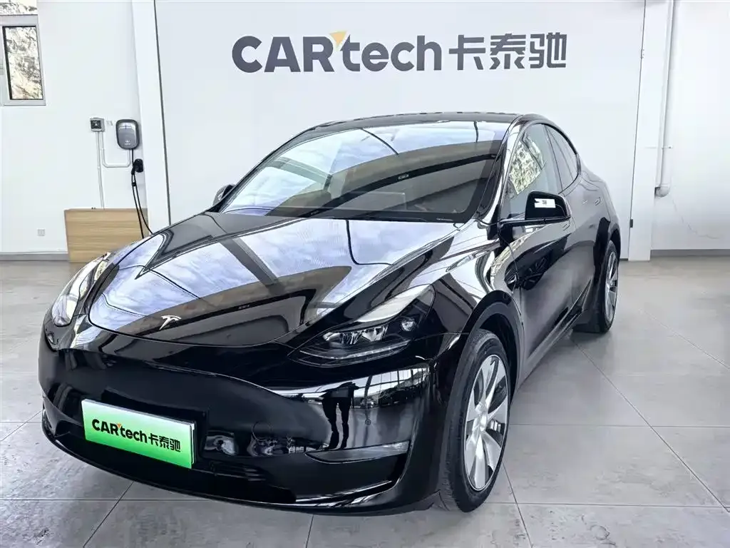 Tesla Model Y — фото 1