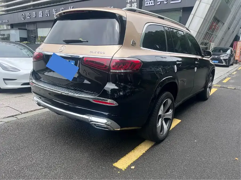 Mercedes-Benz GLS 2022 из CN, фото 9
