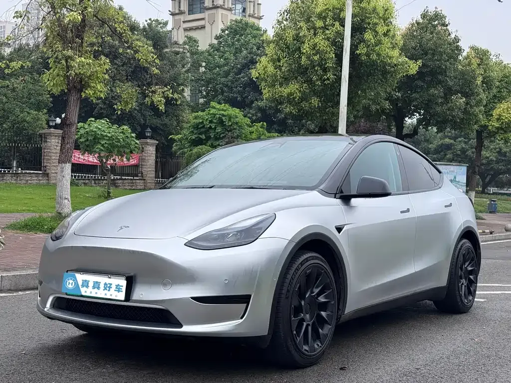 Tesla Model Y — фото 1