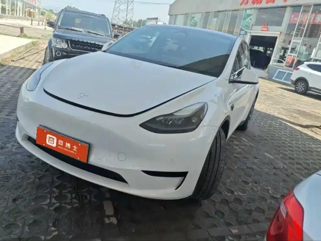 Tesla Model Y — фото 1