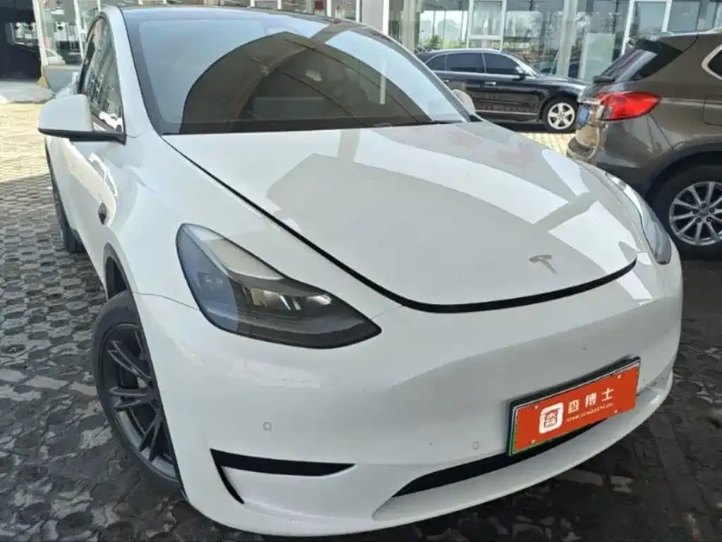 Tesla Model Y — фото 2