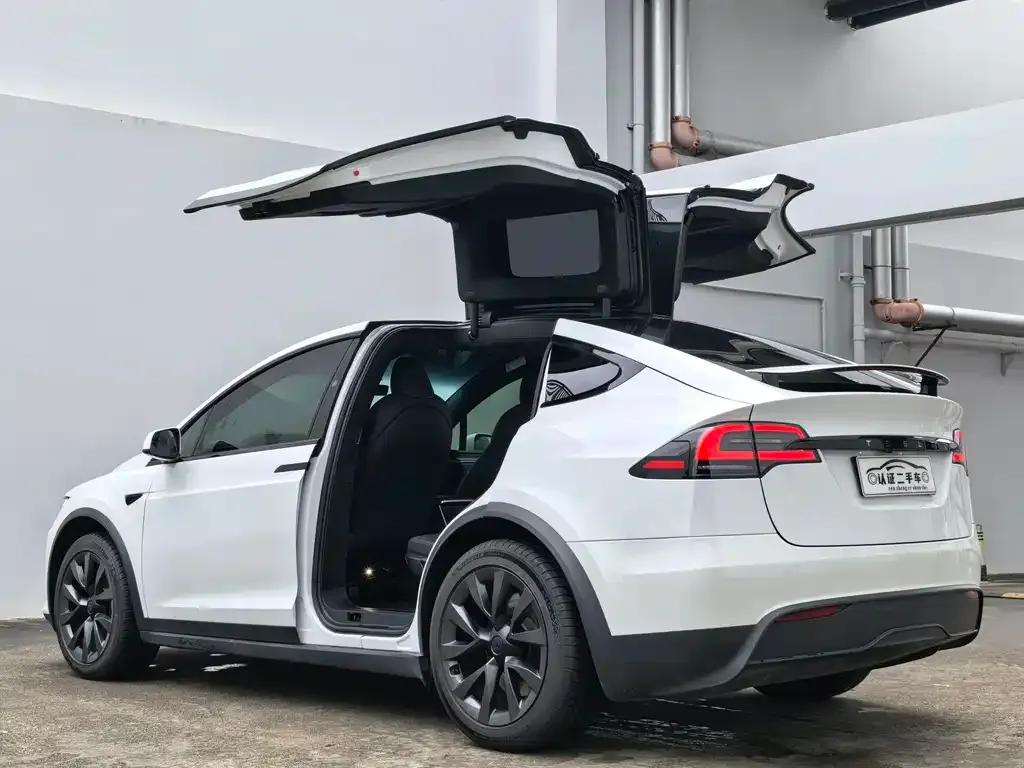 Tesla Model X 2024 из CN, фото 5