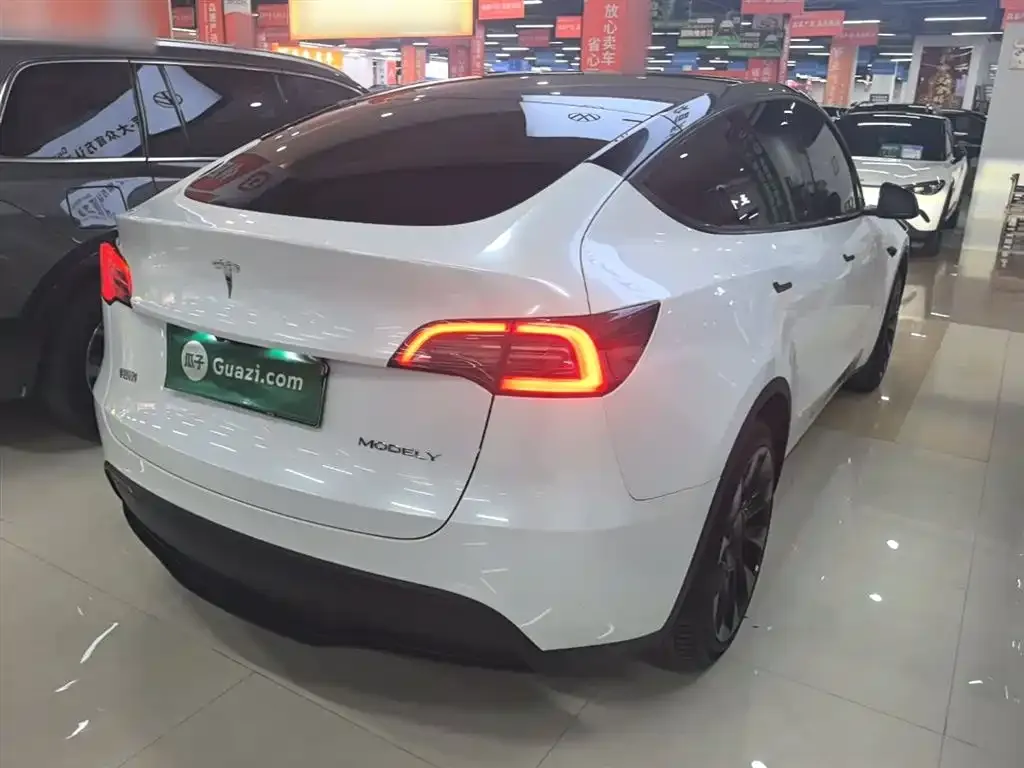 Tesla Model Y — фото 9