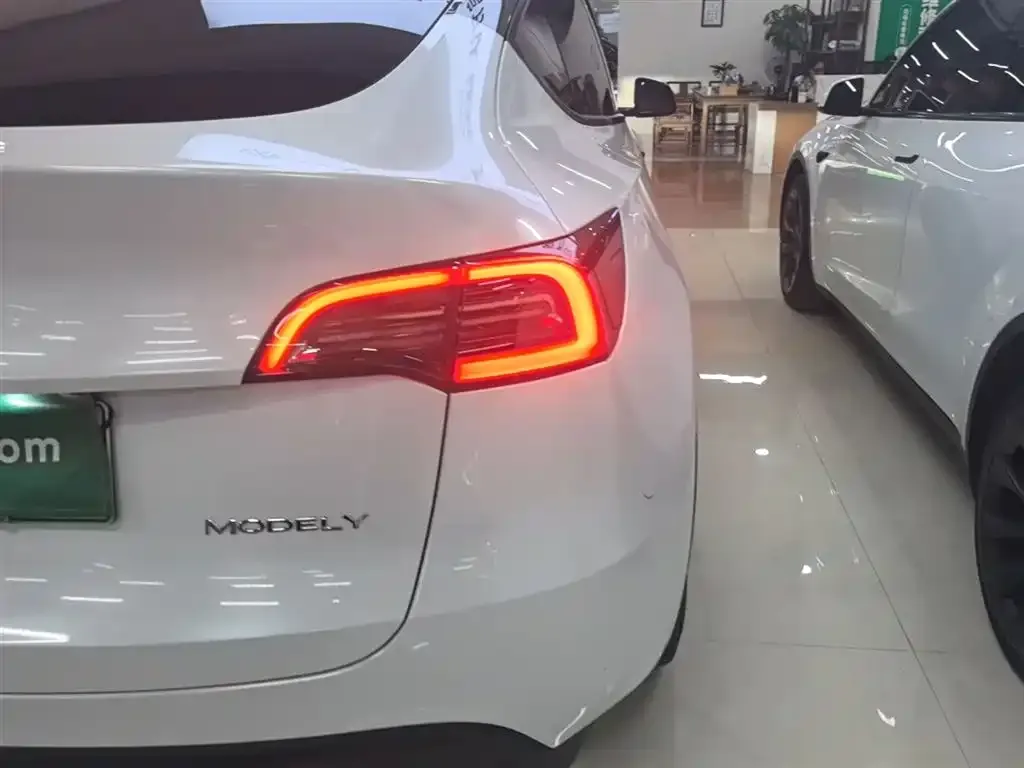 Tesla Model Y — фото 3
