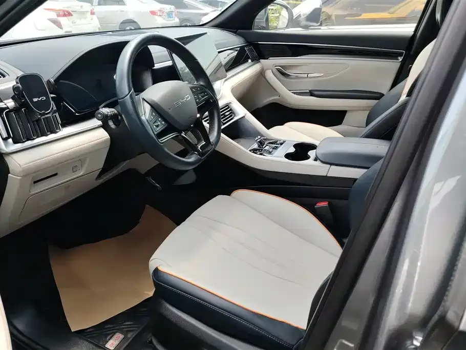 BYD PLUS New Energy — фото 10