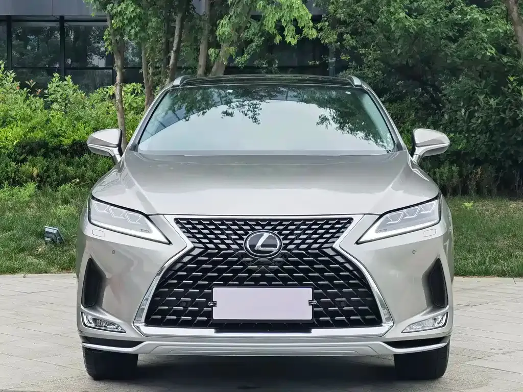 Lexus RX 2022 из CN, фото 4