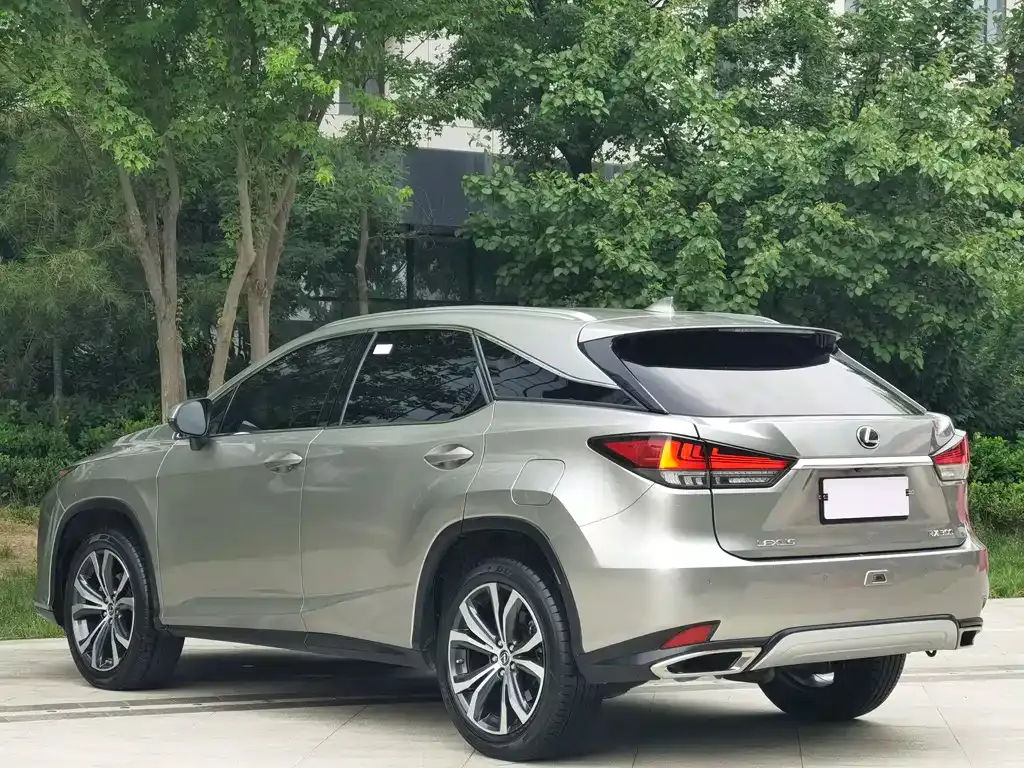 Lexus RX 2022 из CN, фото 10