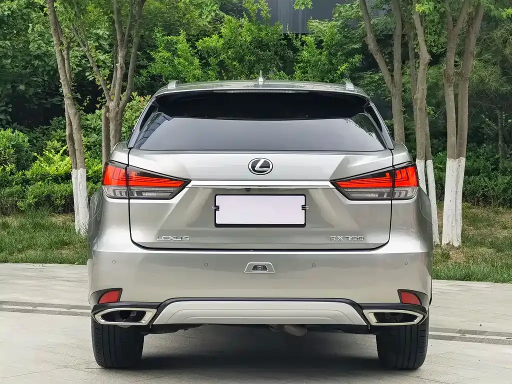 Lexus RX 2022 из CN, фото 7