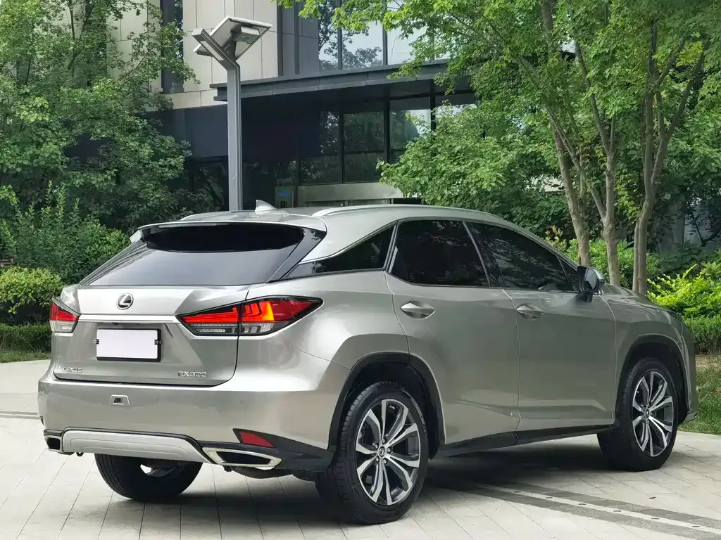Lexus RX 2022 из CN, фото 6
