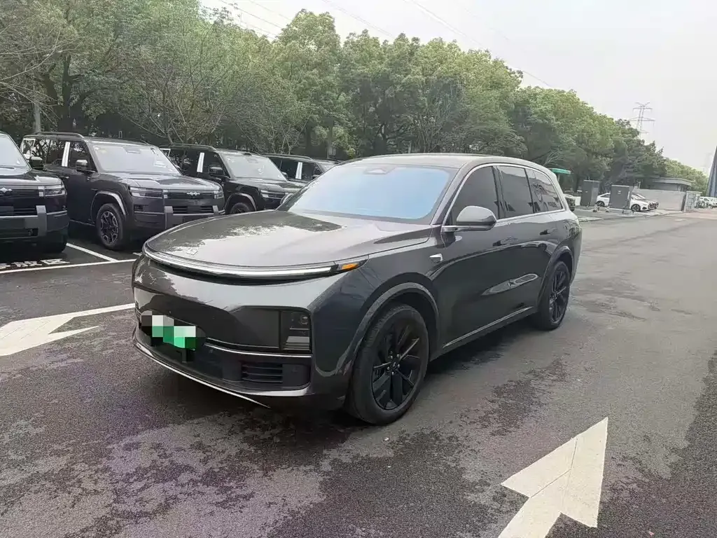 Li Auto L8 2023 из CN, фото 8