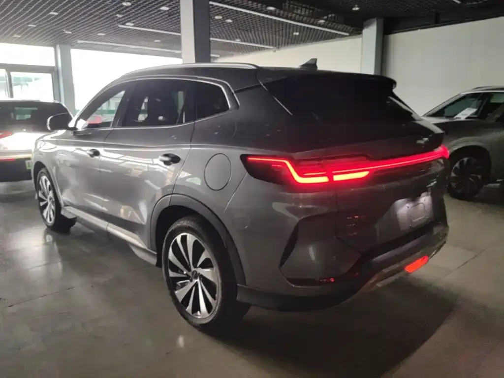 BYD PLUS New Energy — фото 8