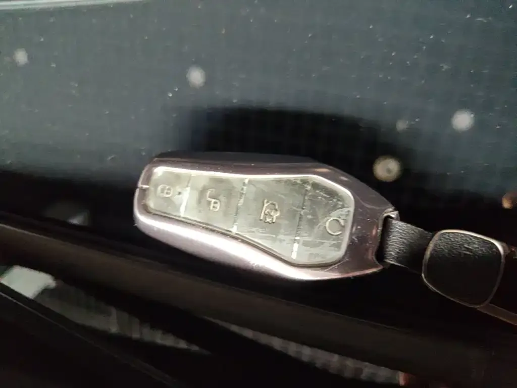 BYD PLUS New Energy — фото 10