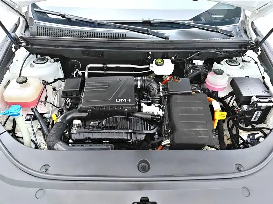 BYD Pro New Energy — фото 10