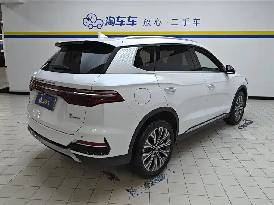 BYD Pro New Energy — фото 5