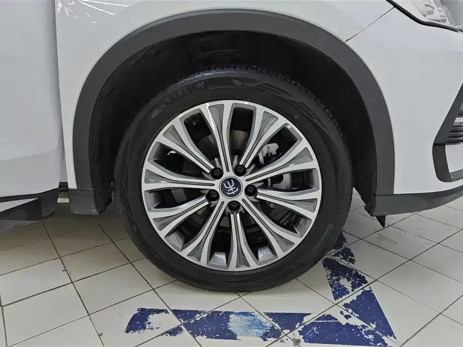 BYD Pro New Energy — фото 9