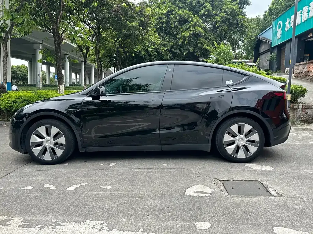 Tesla Model Y — фото 3