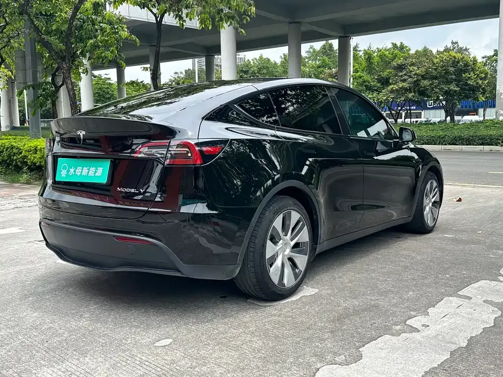 Tesla Model Y — фото 2