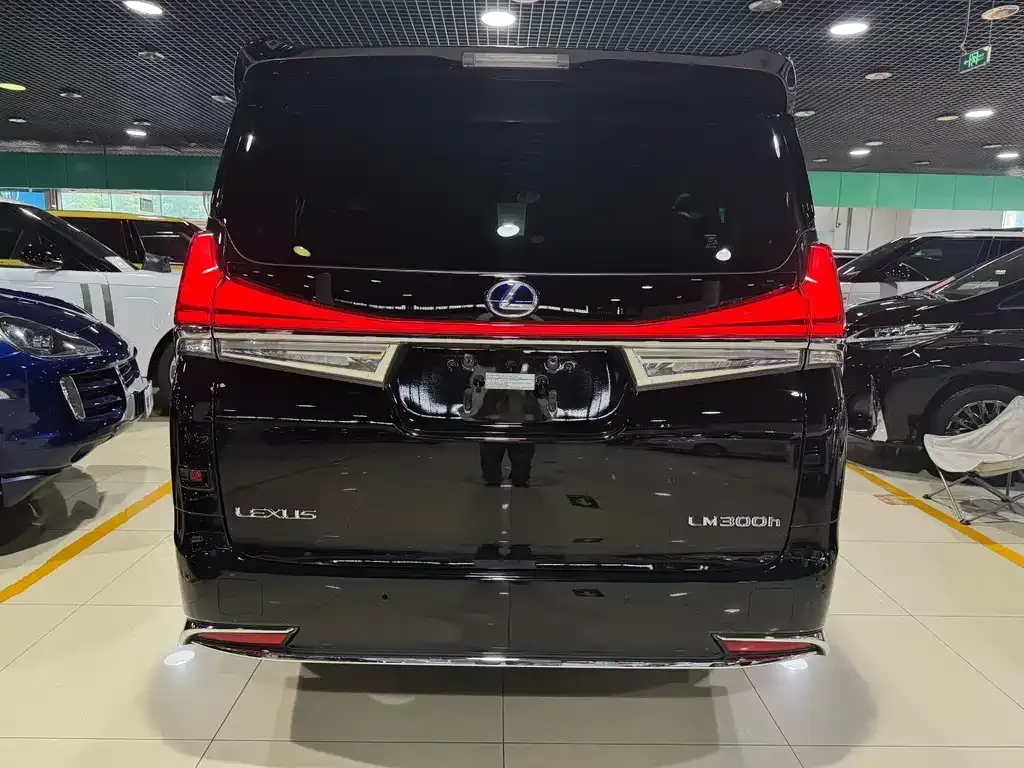 Lexus LM 2021 из CN, фото 6