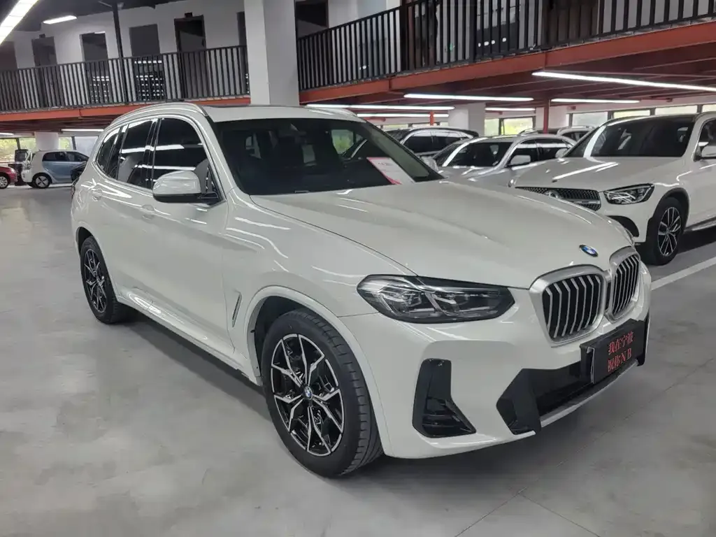 BMW X3 2022 из CN, фото 4