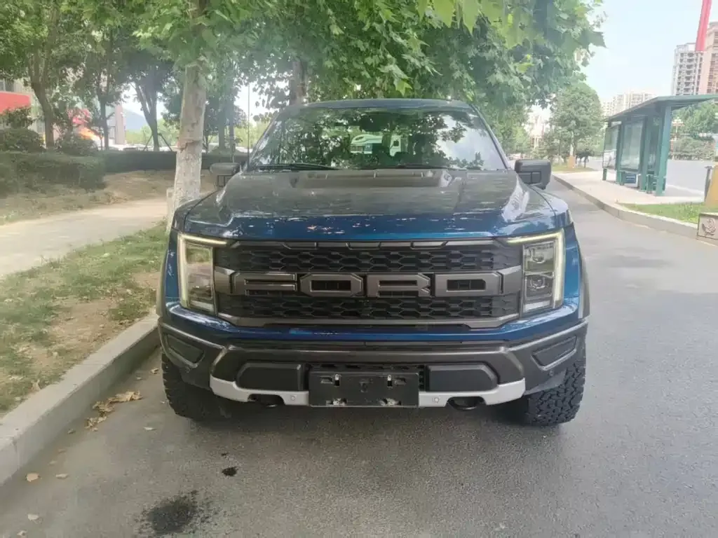 Ford F-150 Raptor 2023 из CN, фото 3