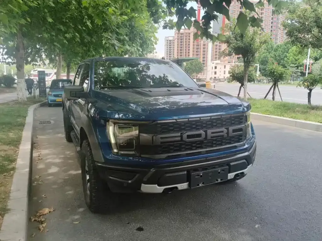 Ford F-150 Raptor 2023 из CN, фото 5