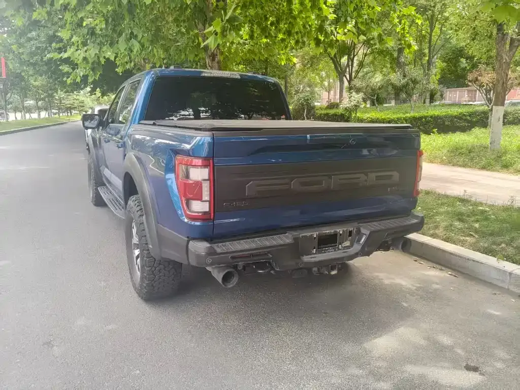 Ford F-150 Raptor 2023 из CN, фото 8