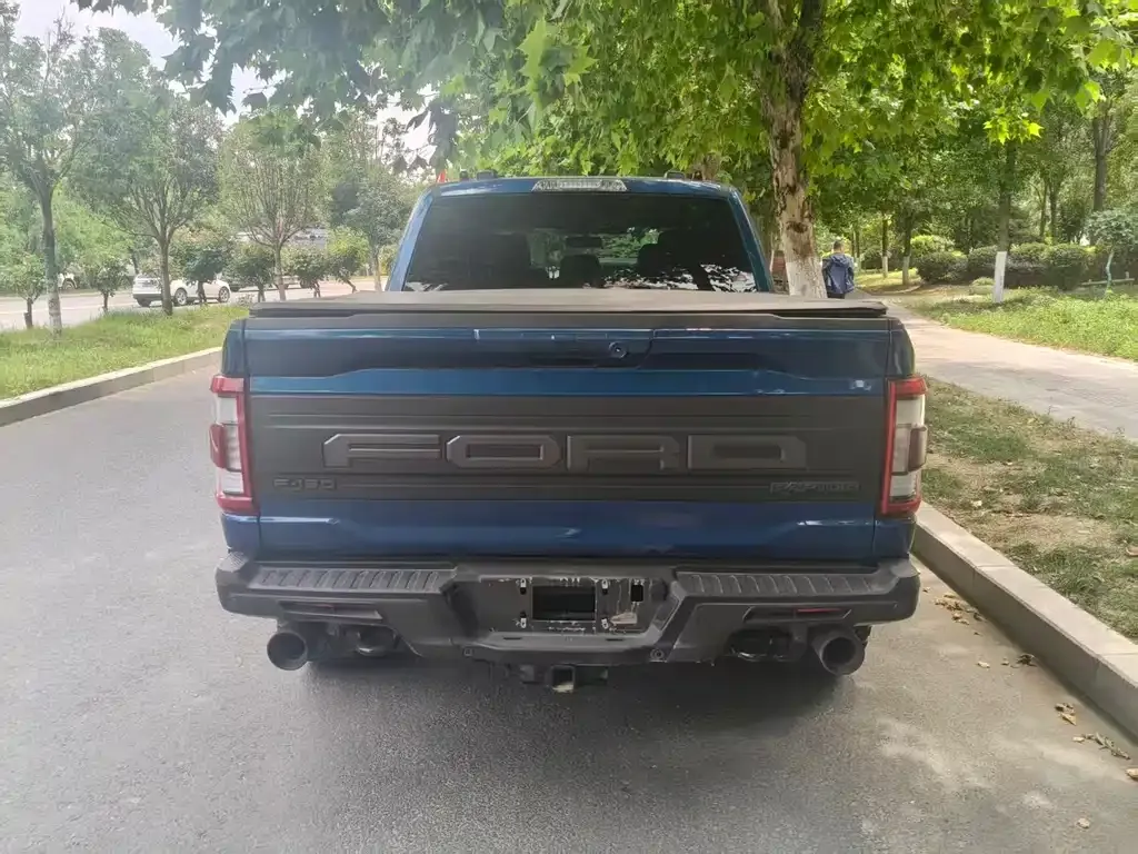 Ford F-150 Raptor 2023 из CN, фото 6